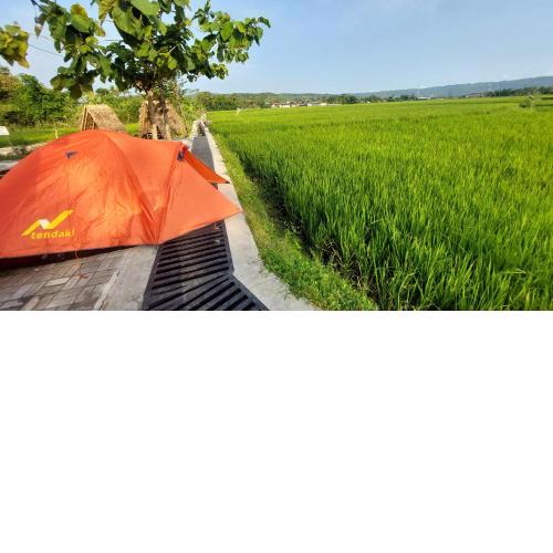 Desa Wisata Bendo Exotic Camp
