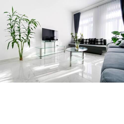 Design-Apartment in Leipzig-Plagwitz