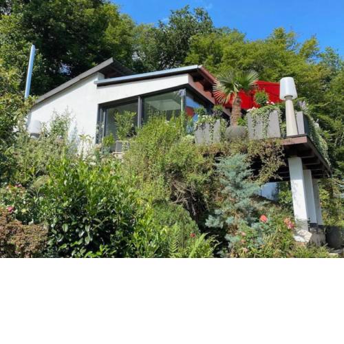 Design & Kunst Bungalow Rheingau Nähe WI, MZ, FFM