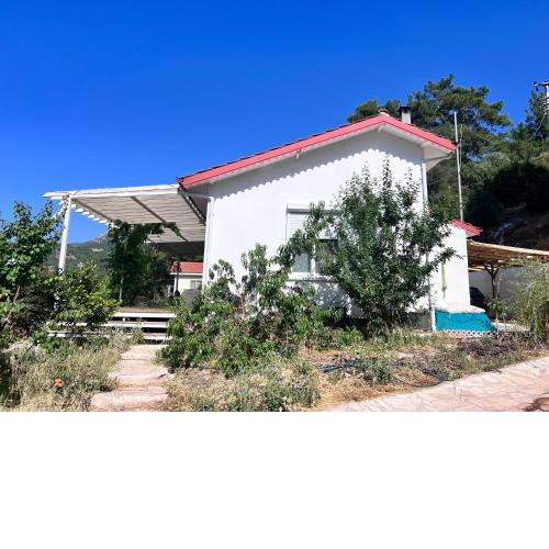 Detached house surrounded by fruit trees, very close to Olympos and Çıralı