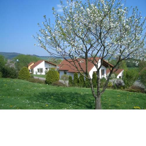Detached single-storey bungalow with south-facing terrace