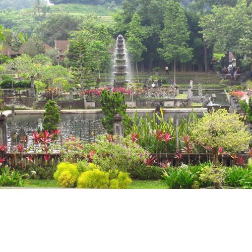 Dhangin Taman