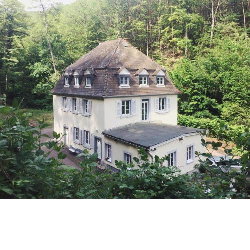Die Talmühle