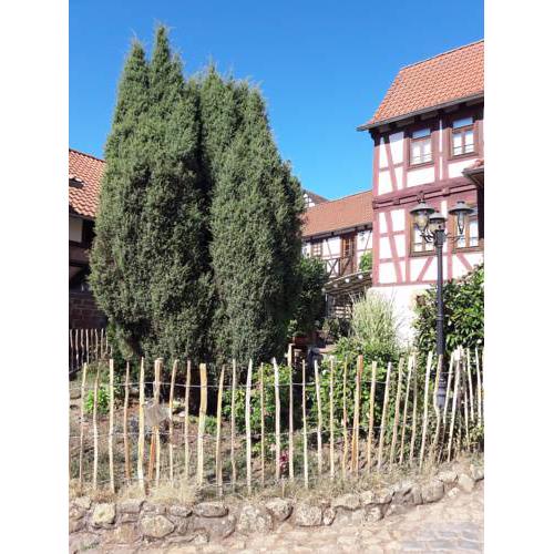 Diebacher Hof