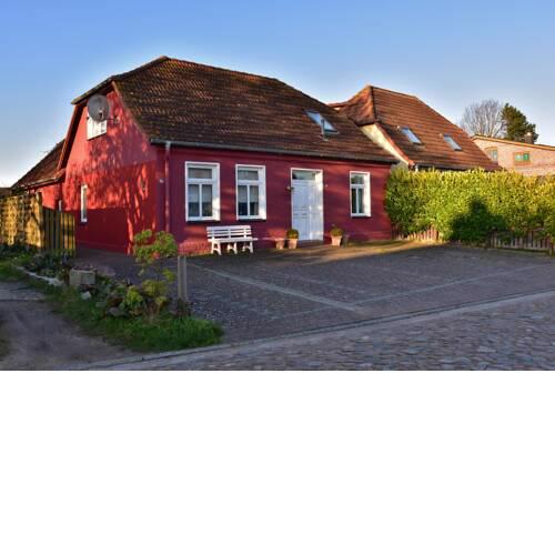 Dierhagen Möwe