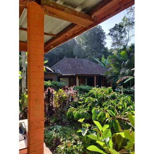 Dina Home Stay at Desa Wisata Wongayagede