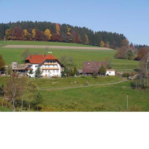Dischhof