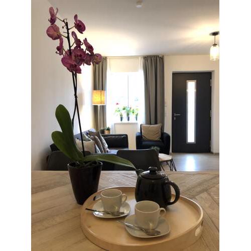 Dock 2 apartment
