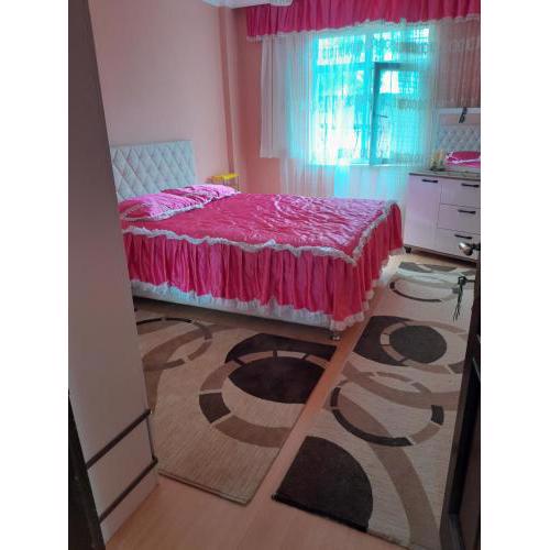 Doğa manzaralı ev