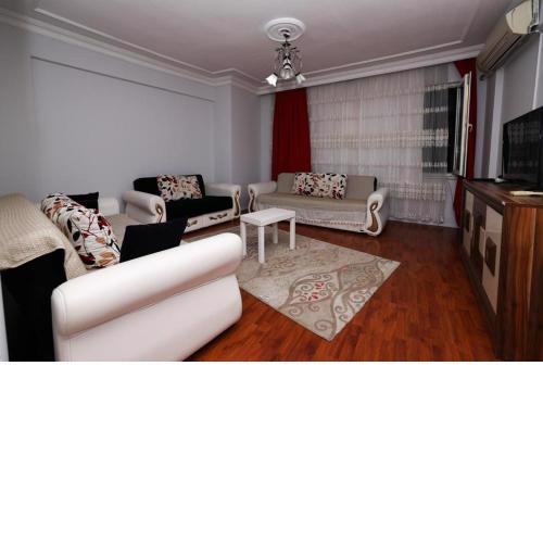 Doğal apart