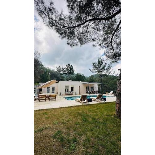 Doğanın içinde mükemmel villa