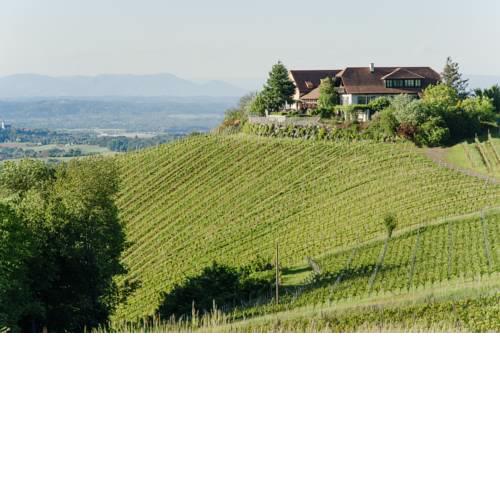 Domaines Kilger Jaglhof