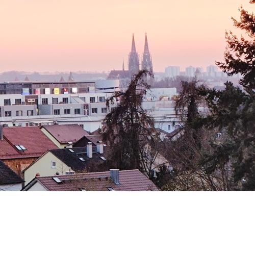 Domblick Regensburg