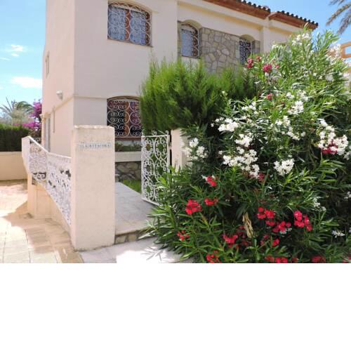 Doree 489