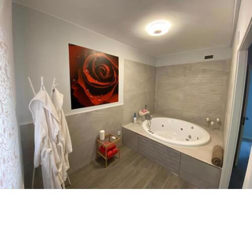 Dos Torres Barbol - Jacuzzi en la habitación
