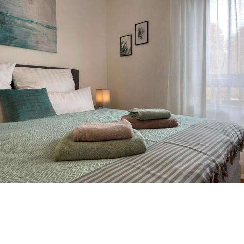 Double Apartment I 2 King Beds I Kitchen I Parking