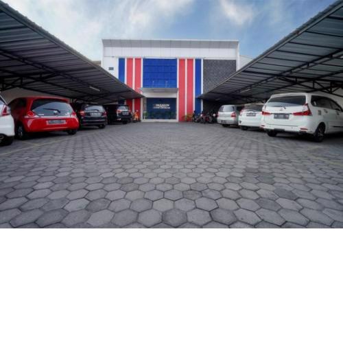 D'Paragon Flamboyan