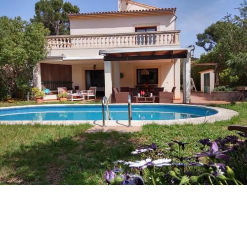 Dream House