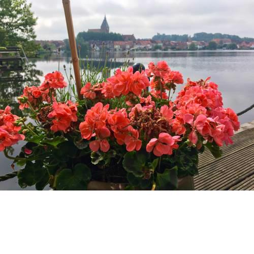 Dream Lakeside Guesthouse