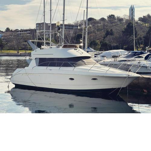 Dream Night Boats