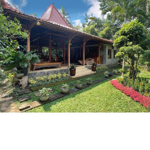 Dream Village