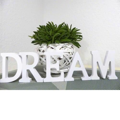 Dream