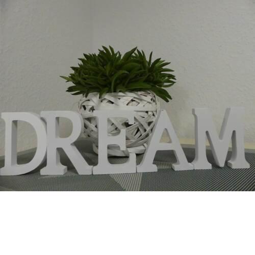 Dream