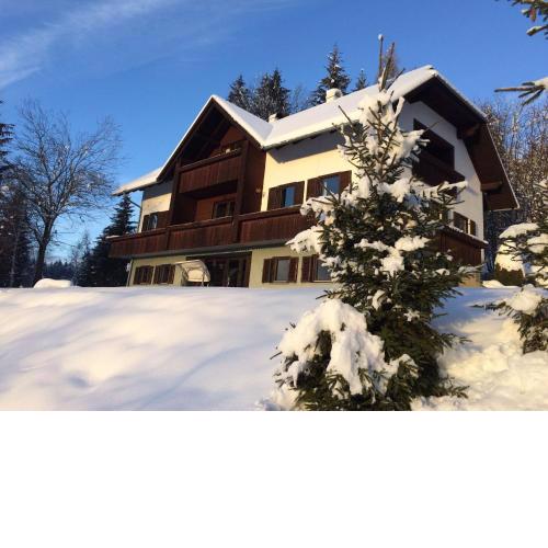 Dreamy Apartment in Fresach with a shared pool and garden