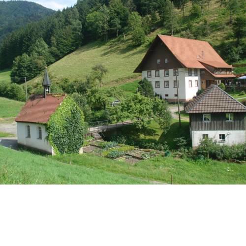 Dreamy Holiday Home in Simonswald near Ski Area