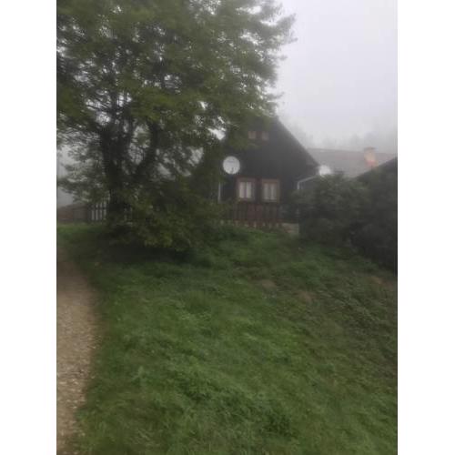 drevenica Kozí hríb