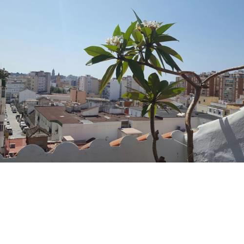 Duplex con vistas a Málaga