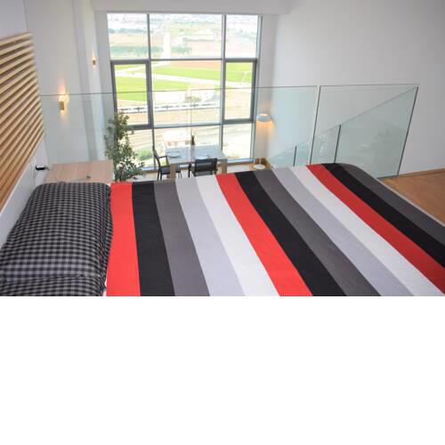 Duplex LOFT Apartamento silencioso. Parking GRATIS