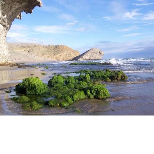 Duplex Pozo de los Frailes
