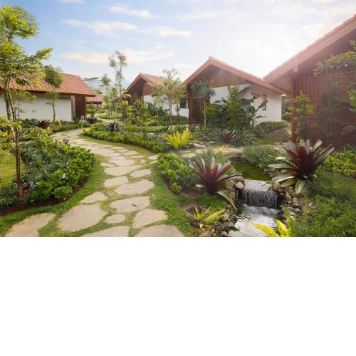 Dusun Bedugul Asri