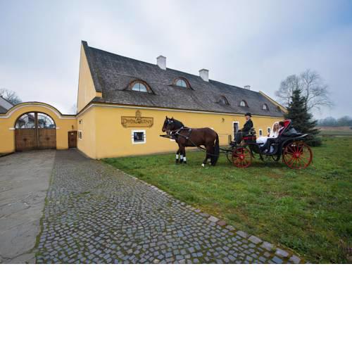 Dvůr Olšiny -Hotel and Horse-riding