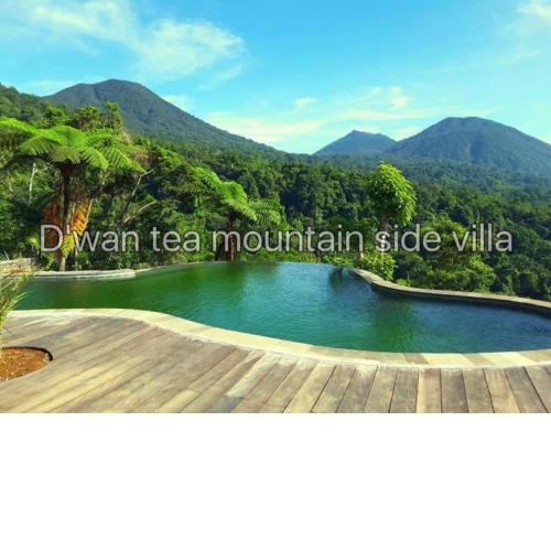 Dwan Tea Mountain Side