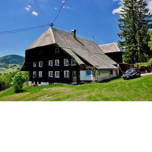 Echtes Schwarzwaldhaus - Traditionell & Modern