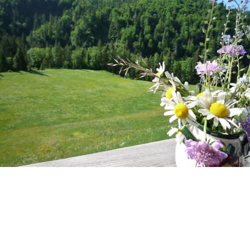 Eckarthof