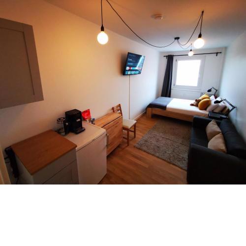 Eco-Friendly Super Central Smart Home