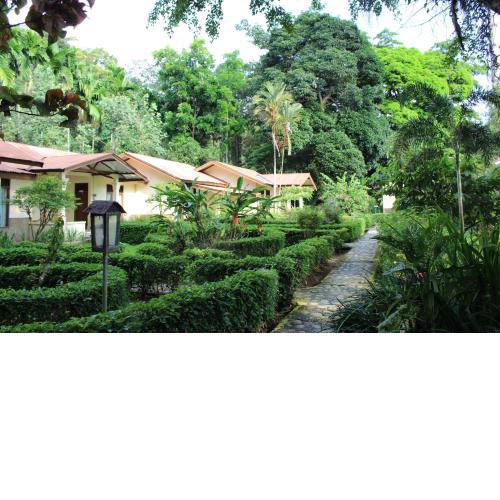 Ecolodge Bukit Lawang