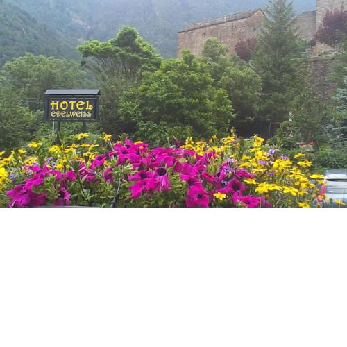 Edelweiss Hotel