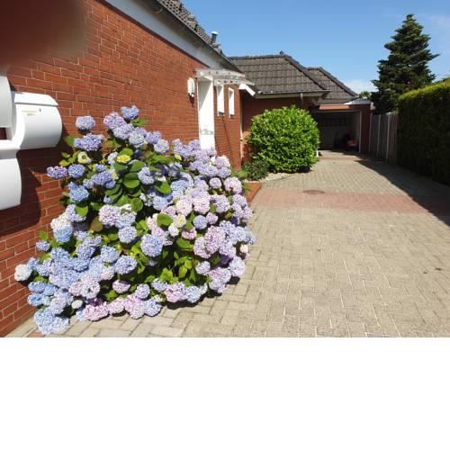 Eden's Ferienwohnungen