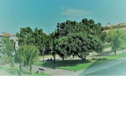 Edificio Ranas