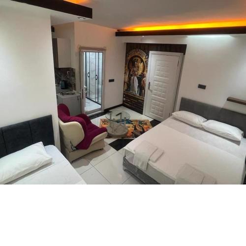 Egytp flat in the heart of city