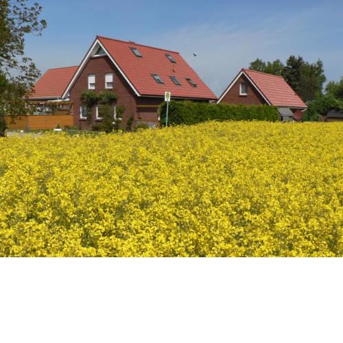 Ein Bett am Kornfeld