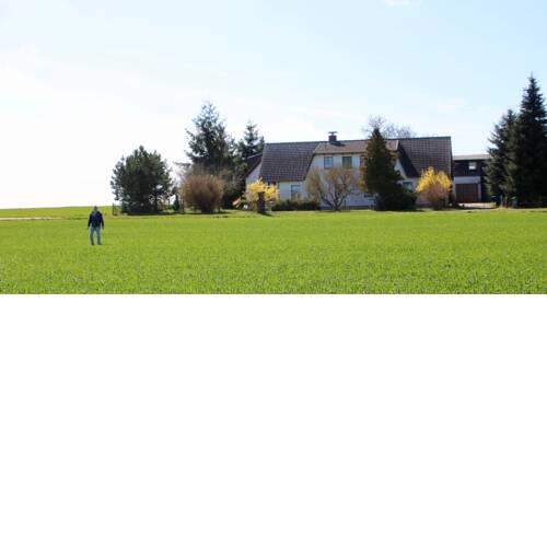 Ein Bett im Kornfeld