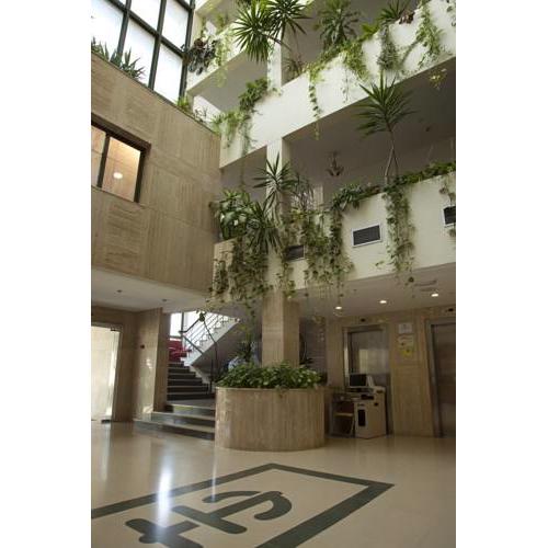 Ejido Hotel