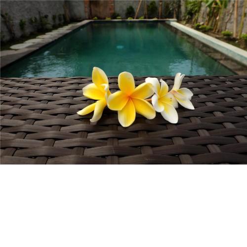Eka Bali Guest House
