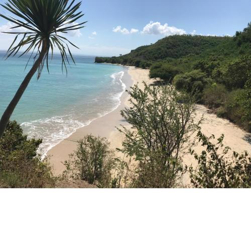 Ekas Surf & Kite Surfing Resort