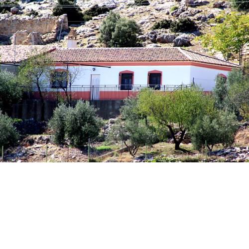 El Almendro de Fuentes Nuevas